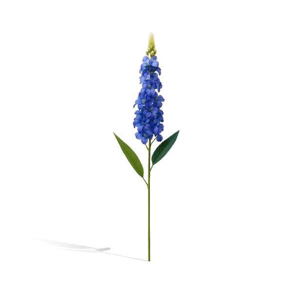 Lule Artificiale Digitalis