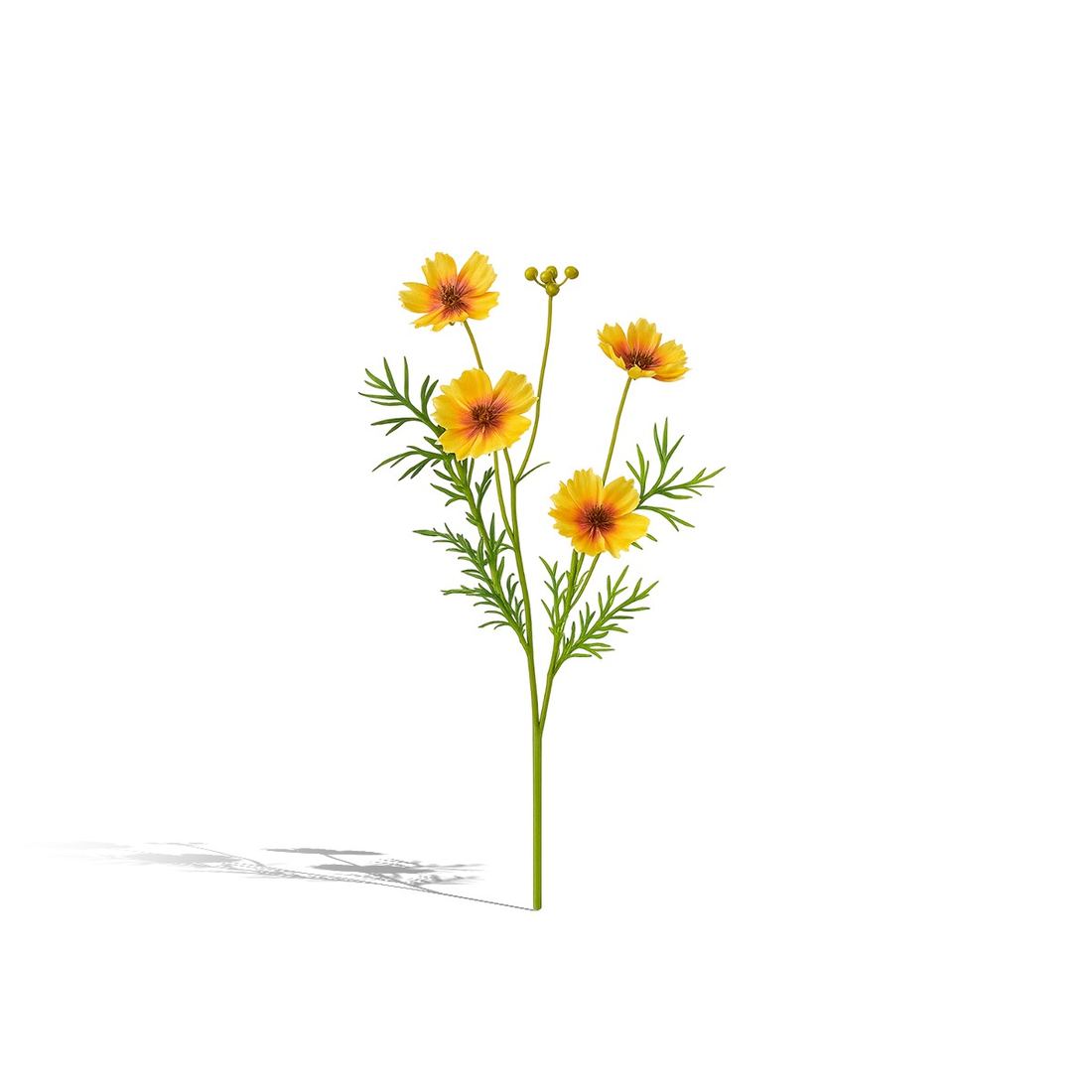 Lule Artificiale Cosmos — foto 2