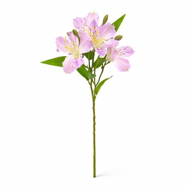 Lule Artificiale Alstroemeria
