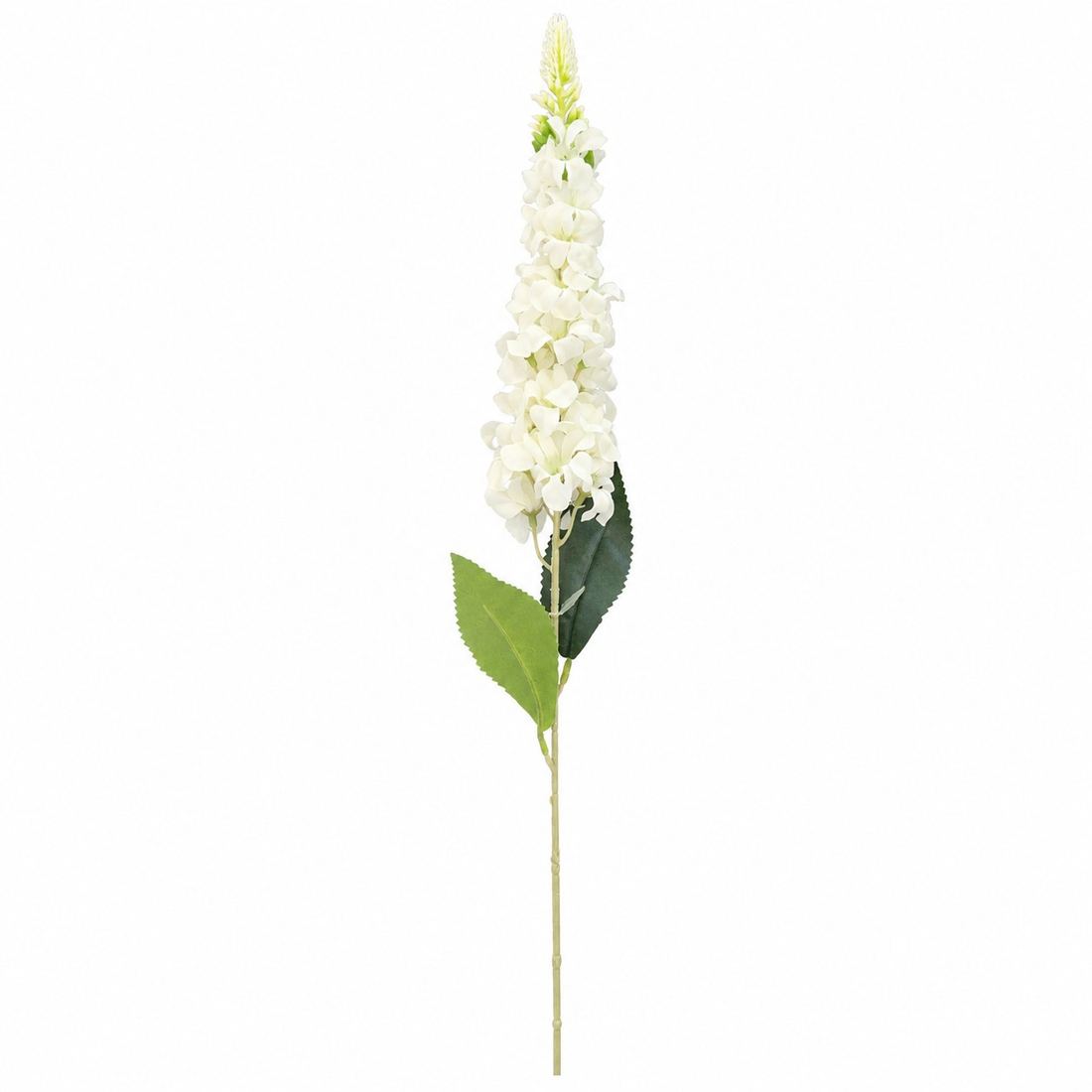 Lule Artificiale Digitalis — foto 5