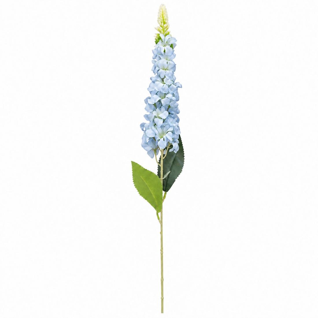 Lule Artificiale Digitalis — foto 2