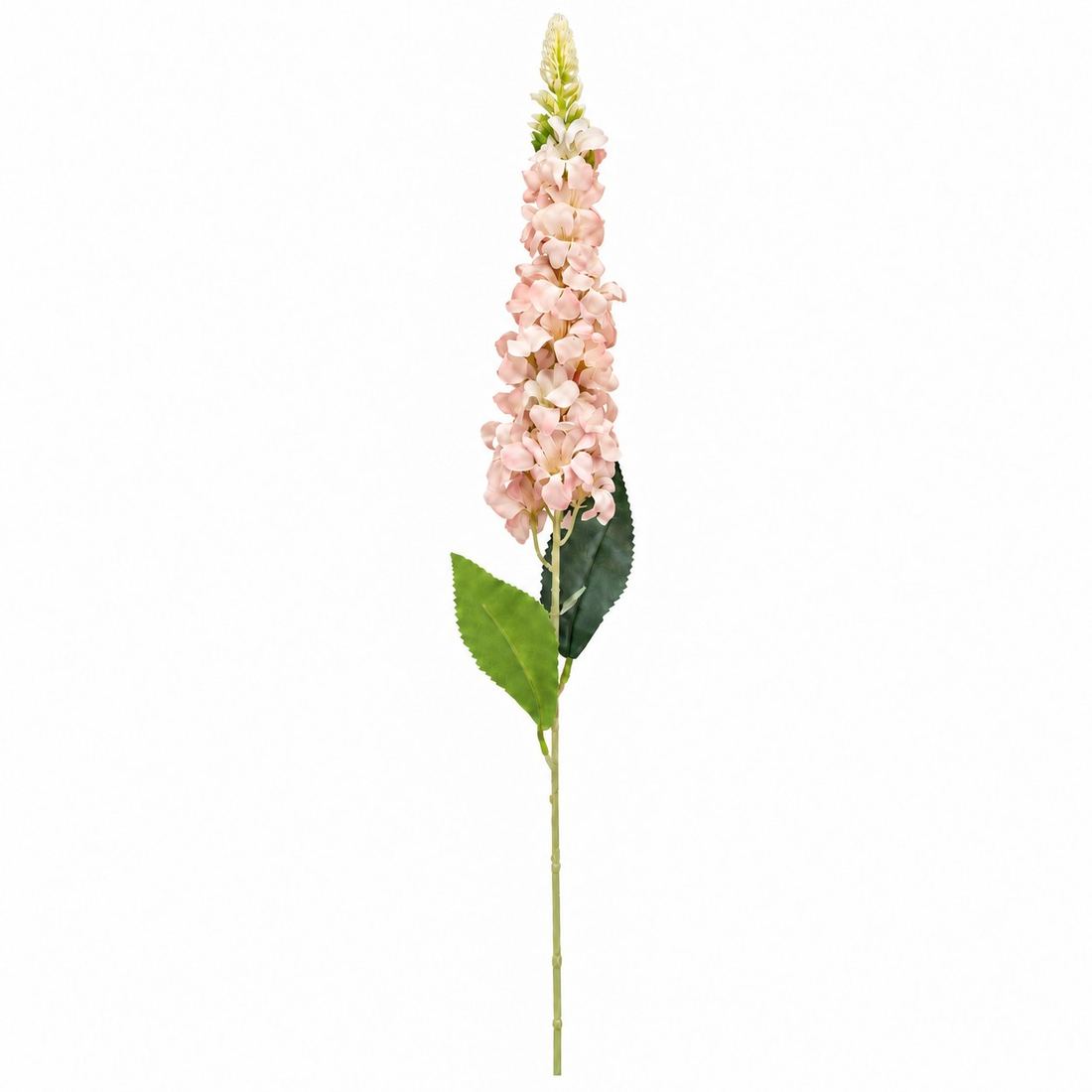 Lule Artificiale Digitalis — foto 3