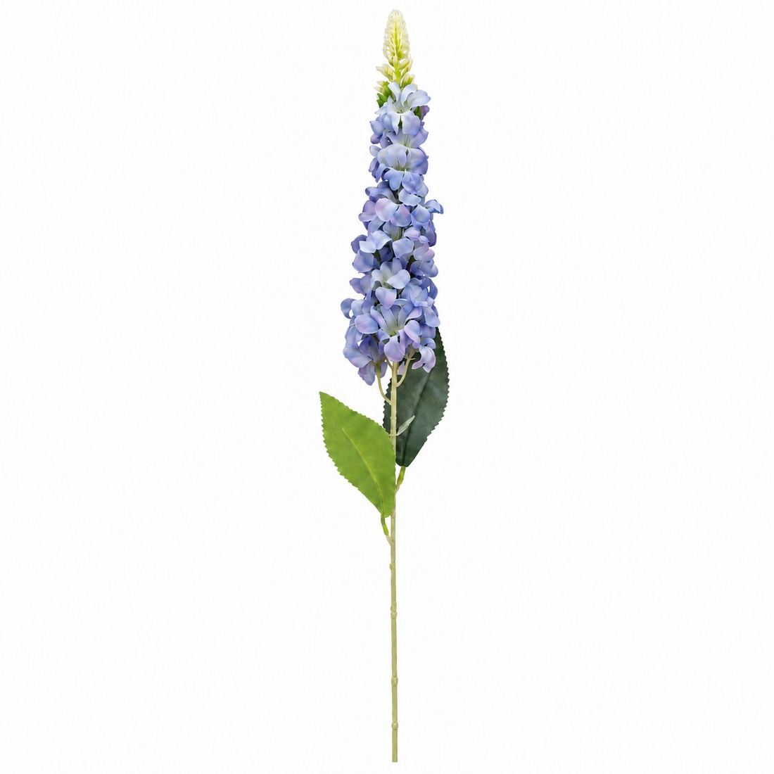 Lule Artificiale Digitalis — foto 4